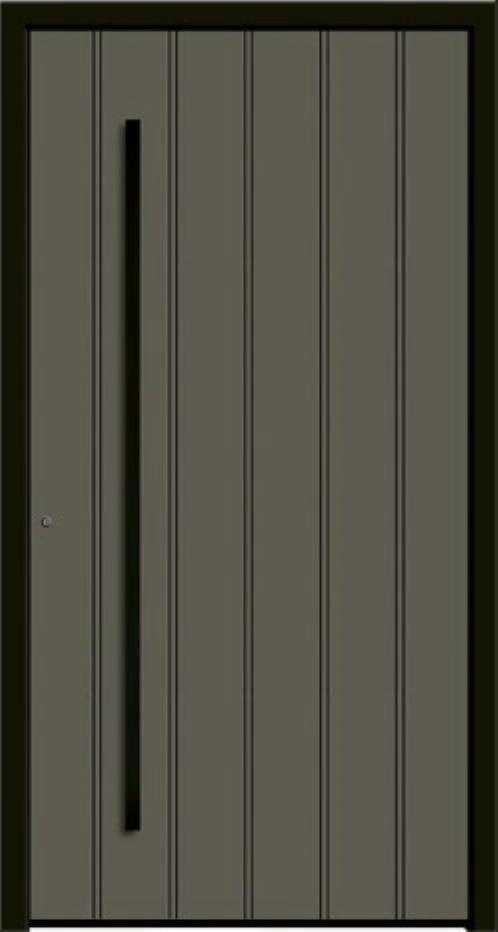 Rodenberg Haustür Art Decor-Paneele Modell 2429